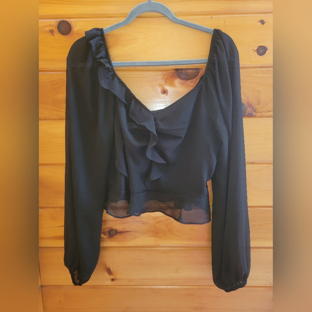 💰⏳️Daisy & Delilah Ruffled Sheer Sleeve Cropped Top With Side Zipper Lg NWOT